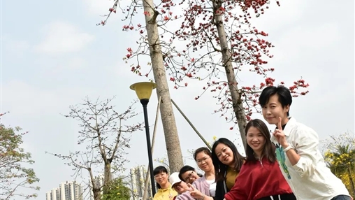 百裕集團(tuán)開展多樣慶“三·八”婦女節(jié)活動